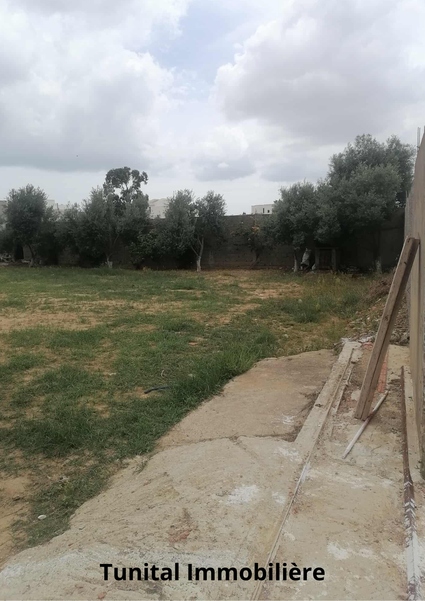 La Soukra Chotrana 3 Vente Autre La soukra chotrana 3 ct restaurant elfirma