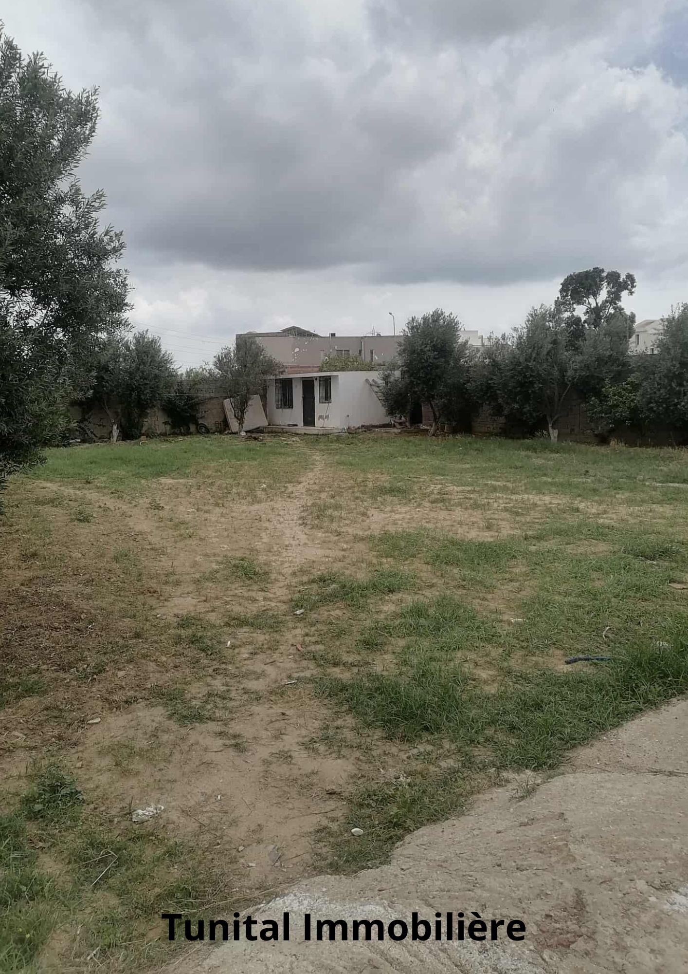 La Soukra Chotrana 3 Vente Autre La soukra chotrana 3 ct restaurant elfirma