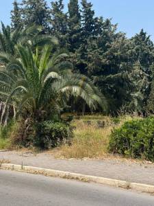 Vente Surfaces - Tunisie