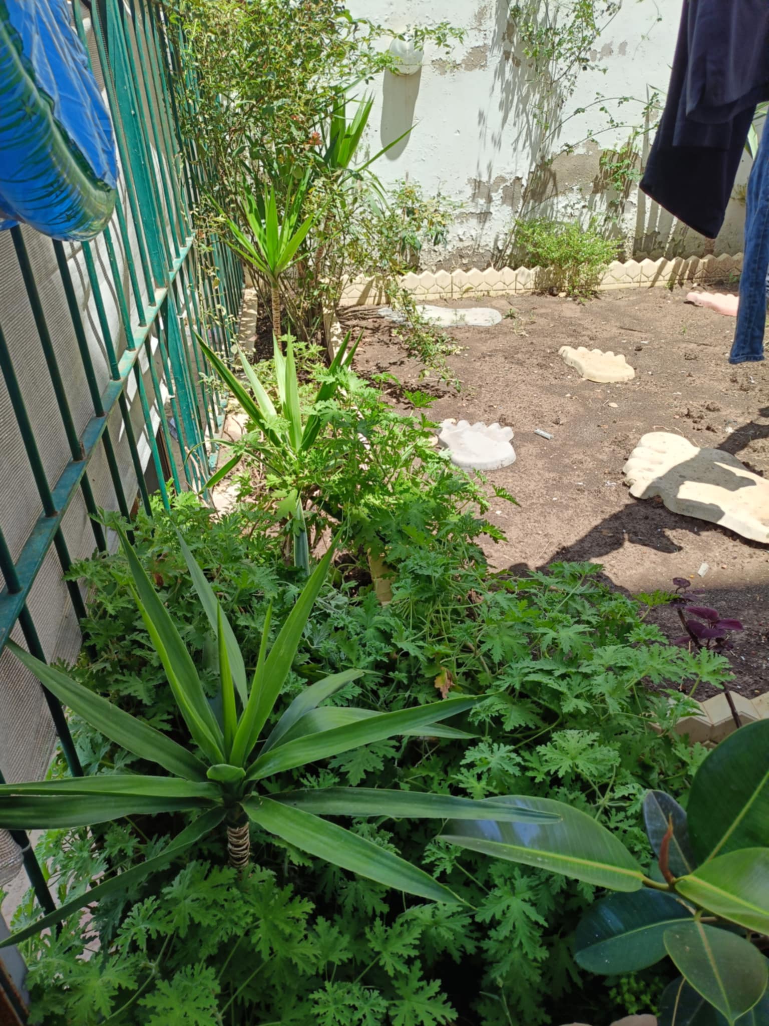 El Mourouj El Mourouj Vente Appart. 3 pices Appartement mourouj 6 rdc avec jardin