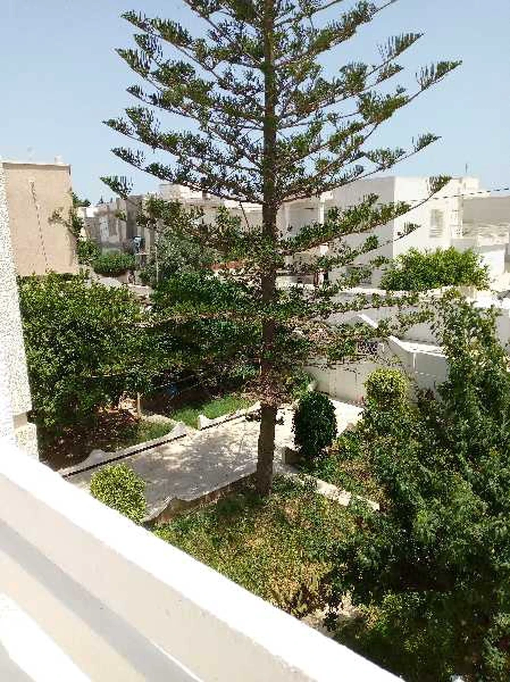Ariana Ville Riadh Landlous Vente Maisons Bien rare opportunit d'investissement