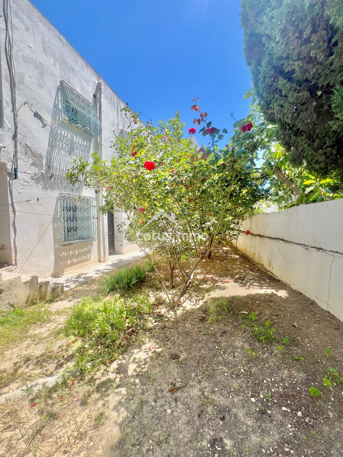 Vente Maisons - Tunisie