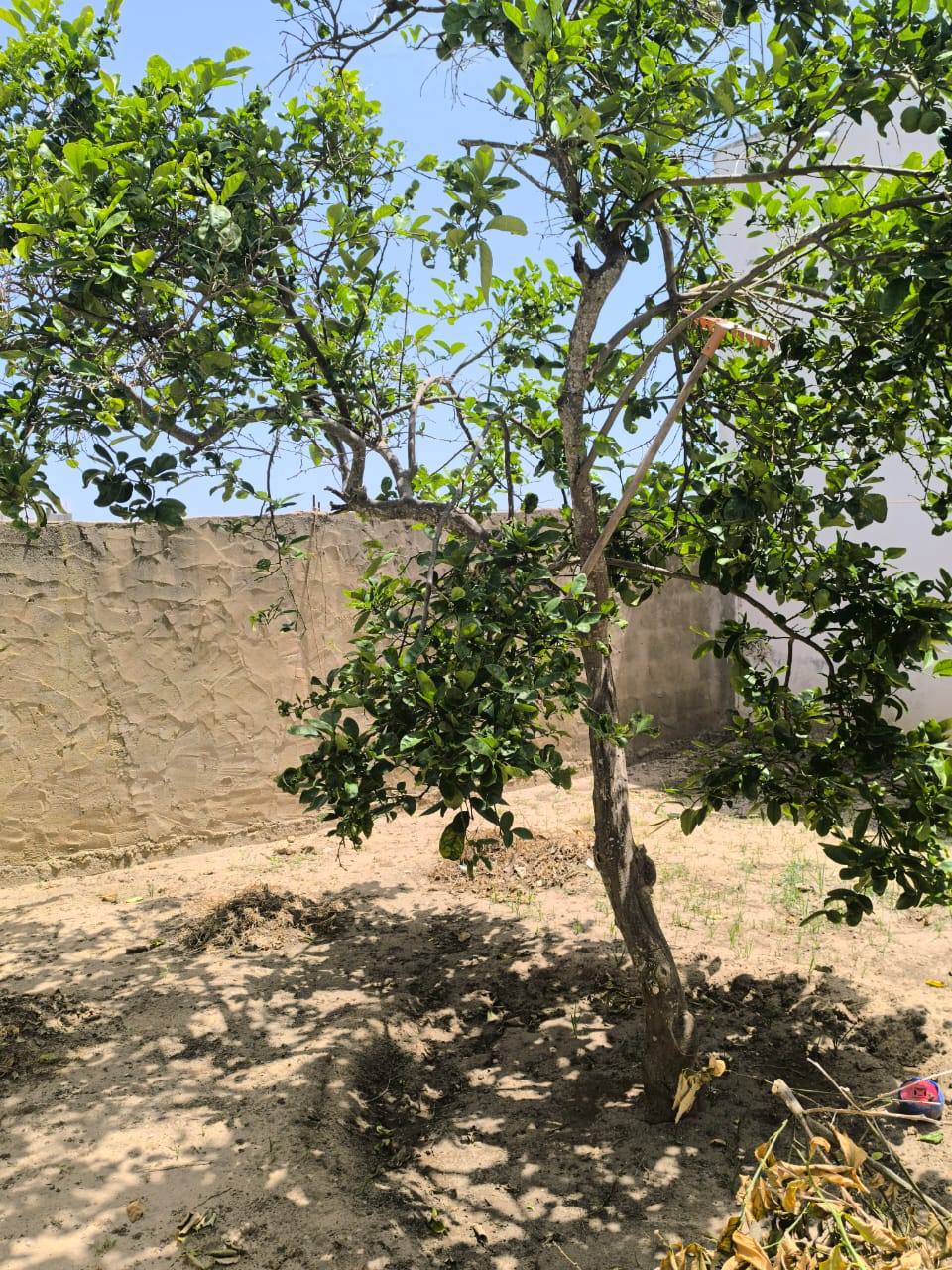 Hammam El Ghezaz&nbsp;Hammam El Ghezaz&nbsp;Vente&nbsp;Maisons&nbsp;Maison au centre ville hammem el ghzez