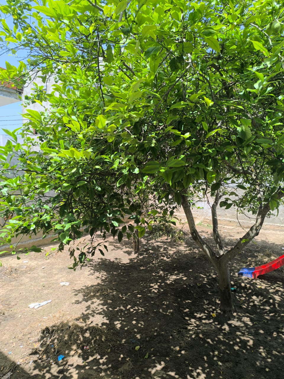 Hammam El Ghezaz&nbsp;Hammam El Ghezaz&nbsp;Vente&nbsp;Maisons&nbsp;Maison a hammem el ghzez