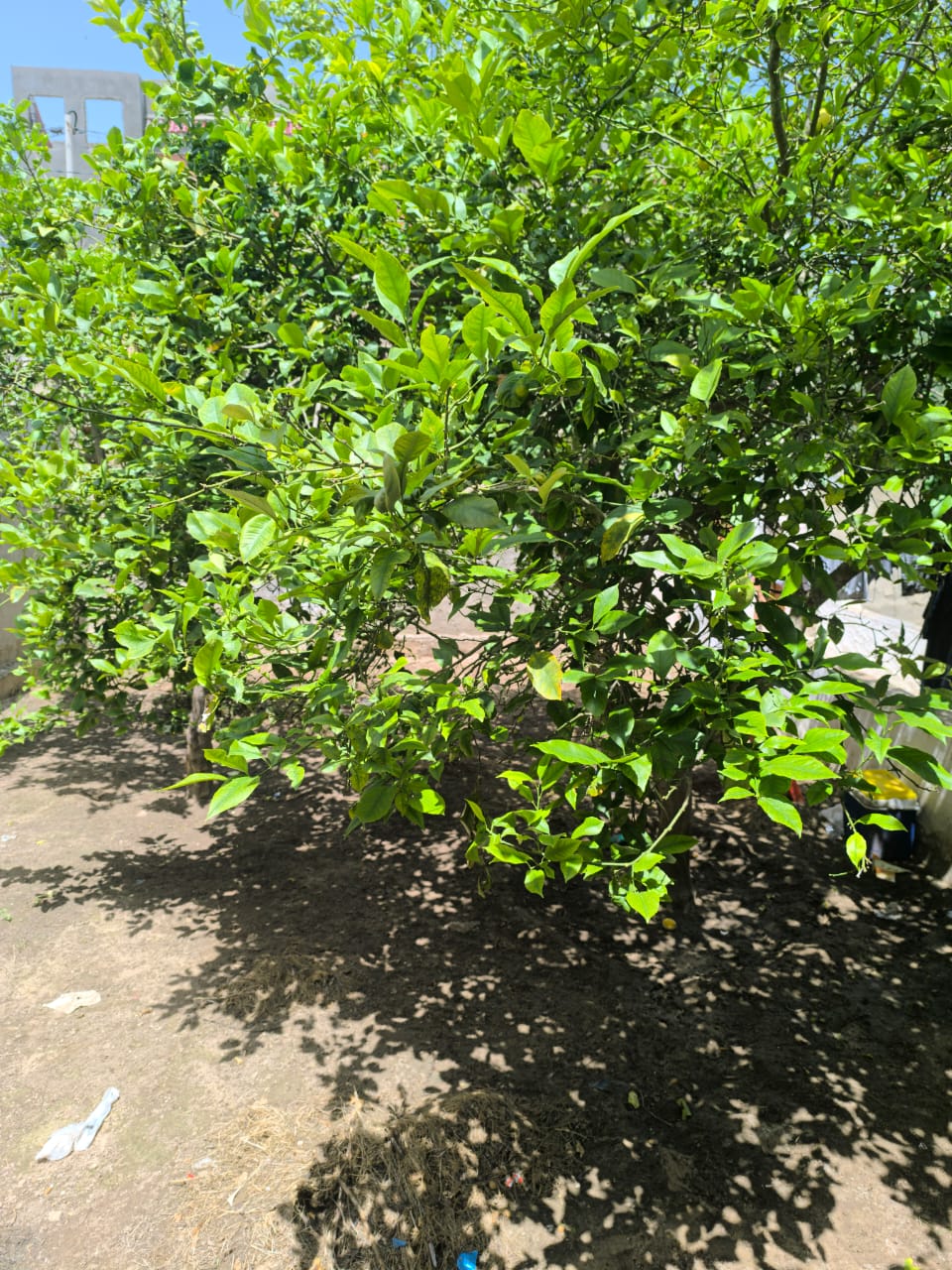 Vente&nbsp;Maisons - Tunisie