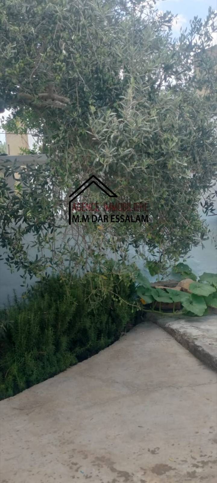 Kelibia Azmour Vente Maisons Maison avec piscine  azmour