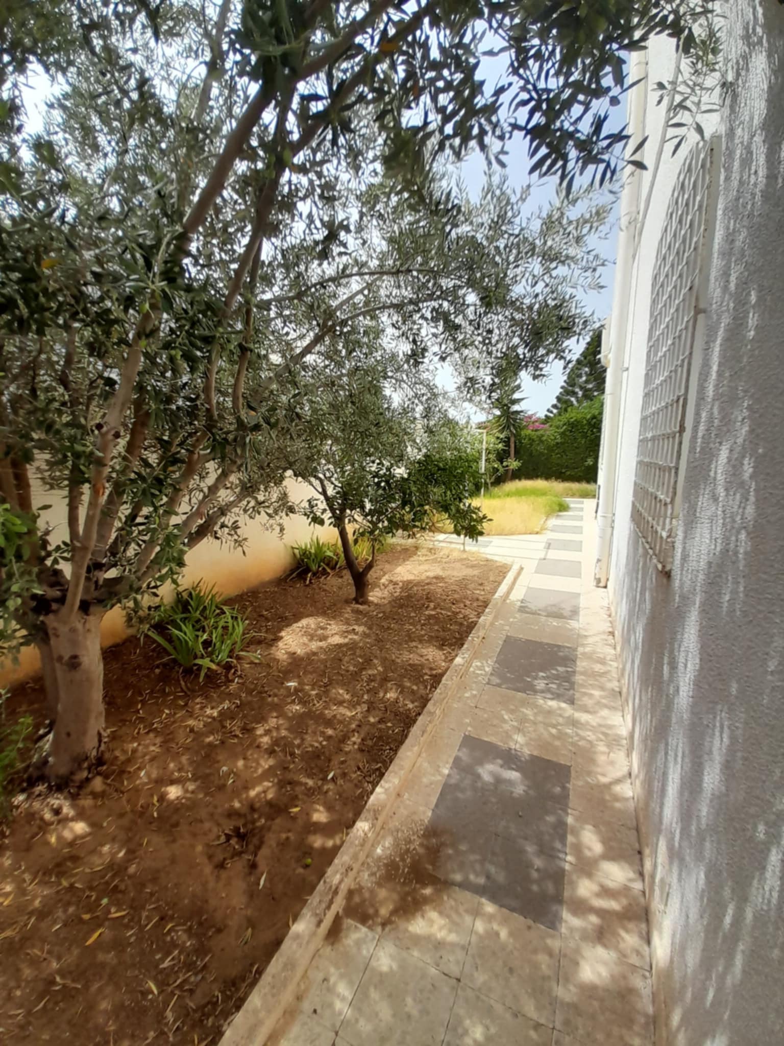 Vente Maisons - Tunisie