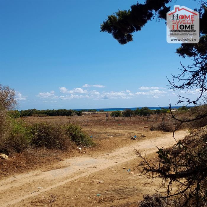 Vente&nbsp;Surfaces - Tunisie