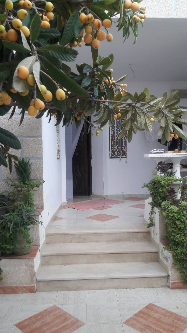 Raoued Jaafar 2 Vente Maisons Belle maison avec studio indpendant