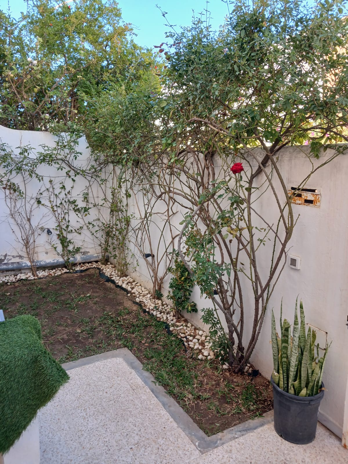 Vente Duplex - Tunisie