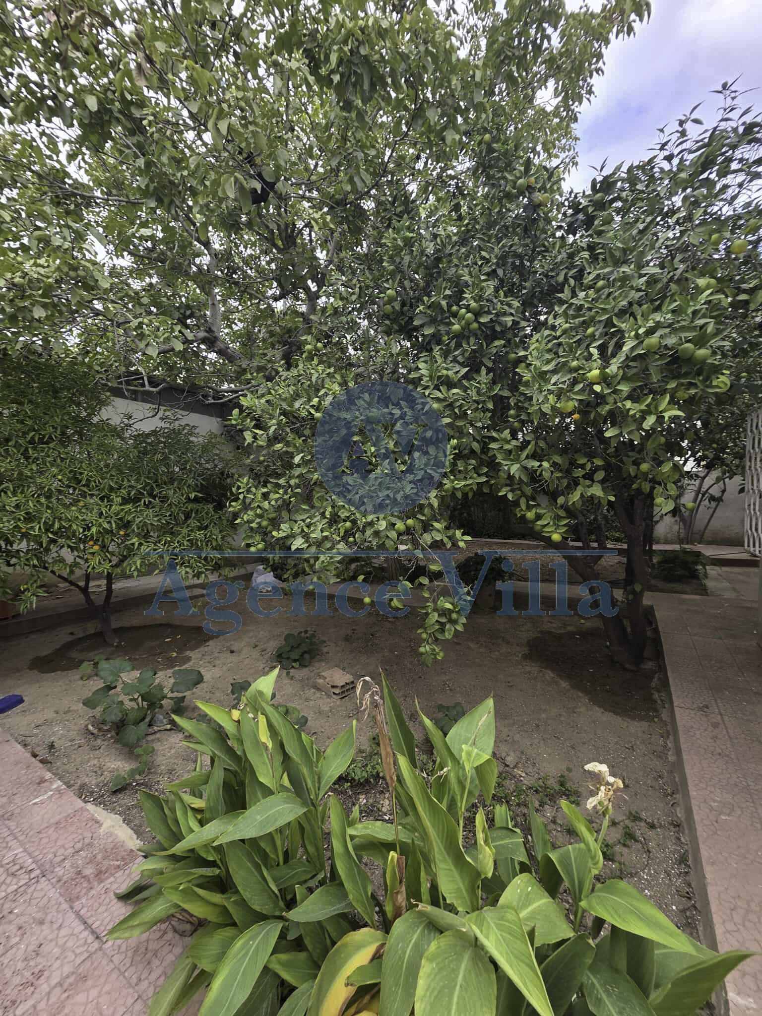 La Marsa Marsa Safsaf Vente Maisons Une villa sur deux niveaux  la marsa