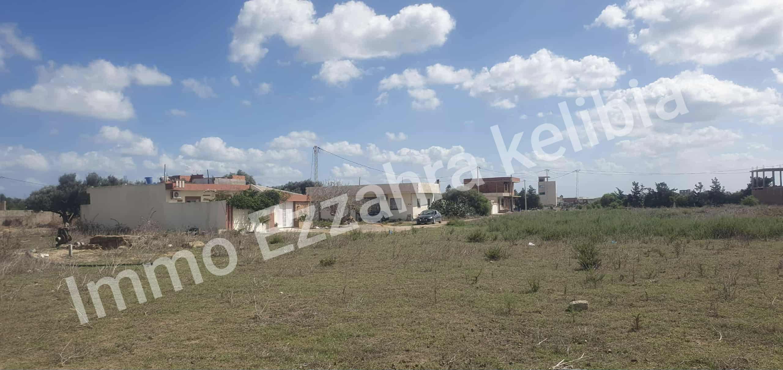 Vente Surfaces - Tunisie