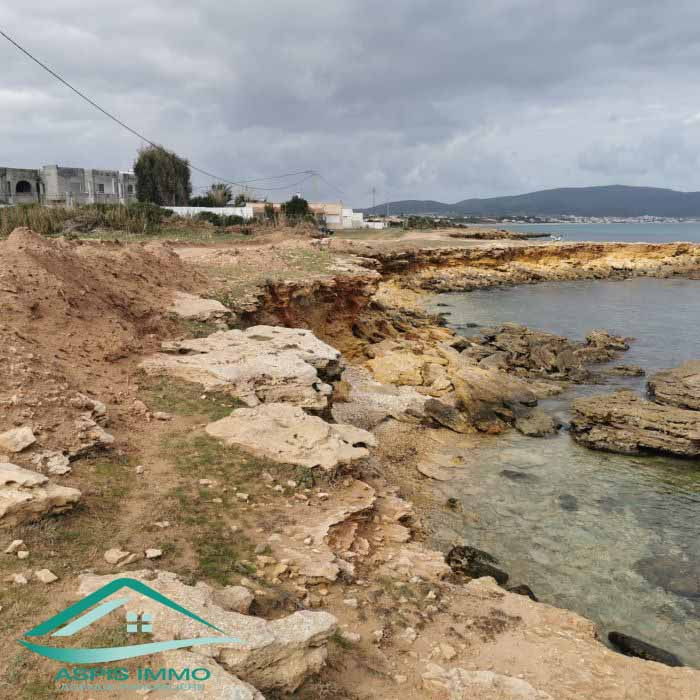 Kelibia Dar Allouche Vente Surfaces Vt783 des terrains  plage dar allouche