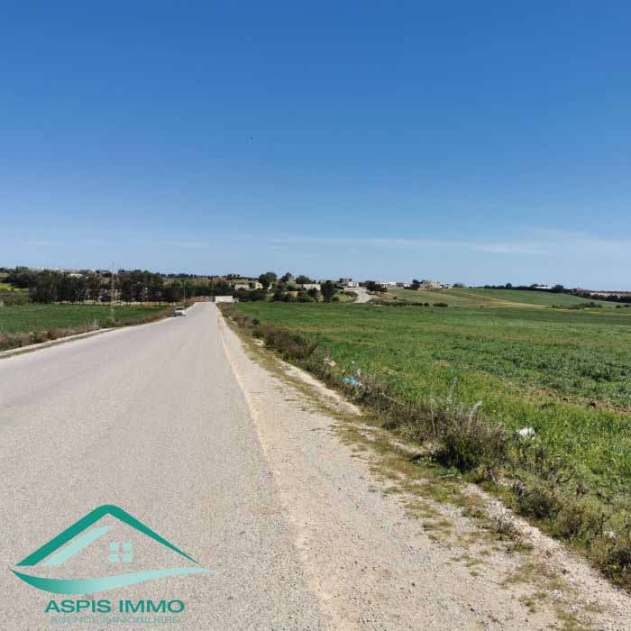 Kelibia Kelibia Vente Surfaces Vt804 terrain  wed khatf kelibia