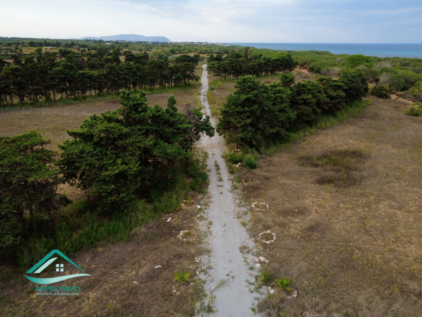 Kelibia Kerkouane Vente Surfaces Vt825 terrain 1149 m2  kerkouene