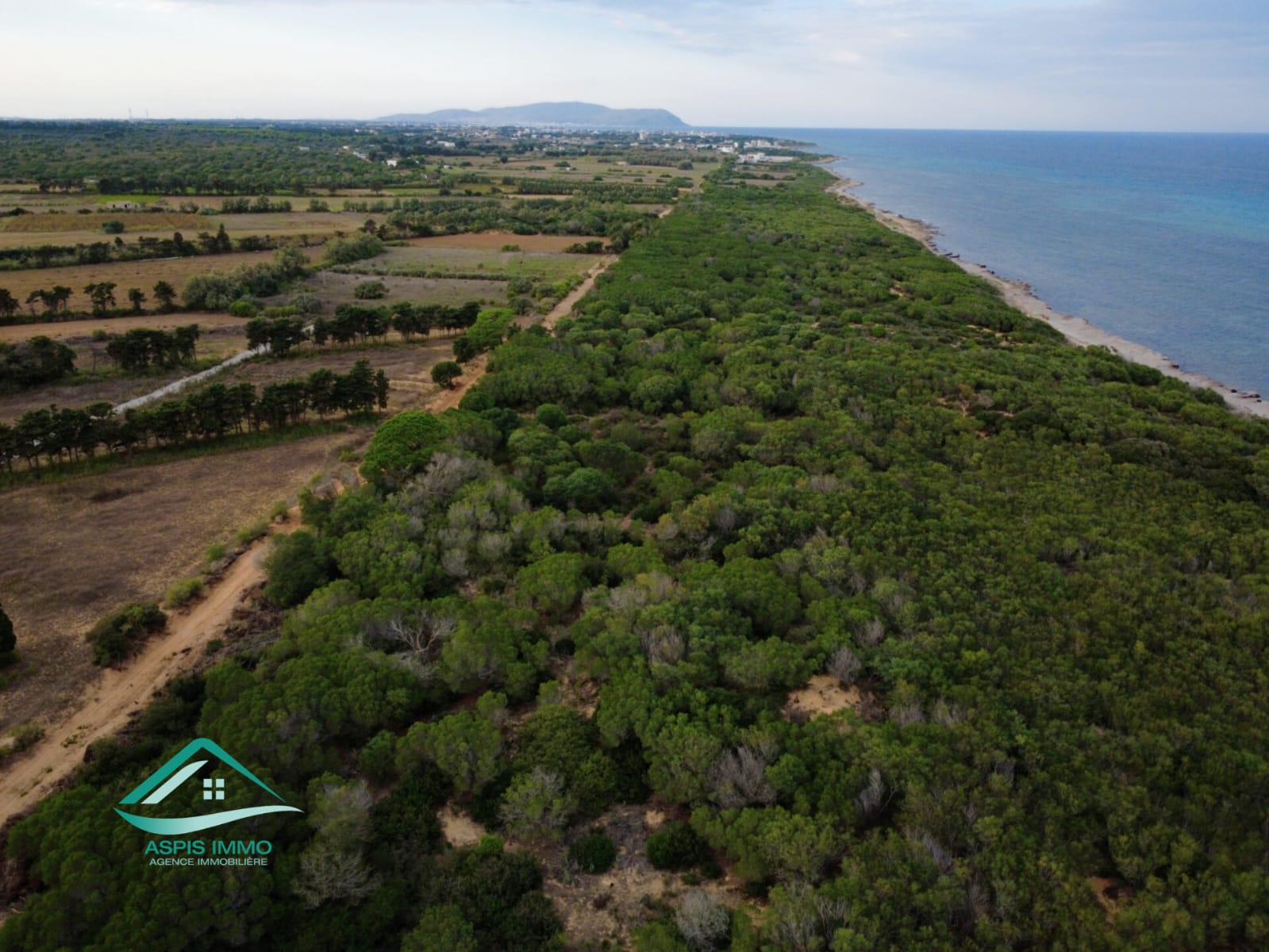 Kelibia Kerkouane Vente Surfaces Vt825 terrain 1149 m2  kerkouene