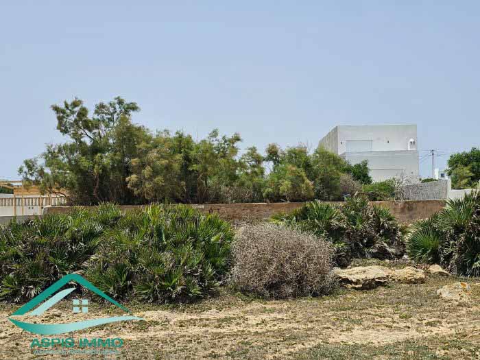 Vente Surfaces - Tunisie