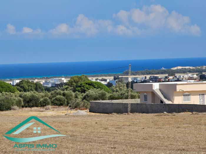 Hammam El Ghezaz&nbsp;Tamazrat&nbsp;Vente&nbsp;Surfaces&nbsp;Vt850 terrain agricole 5980 m2 � tamezrat kelibia