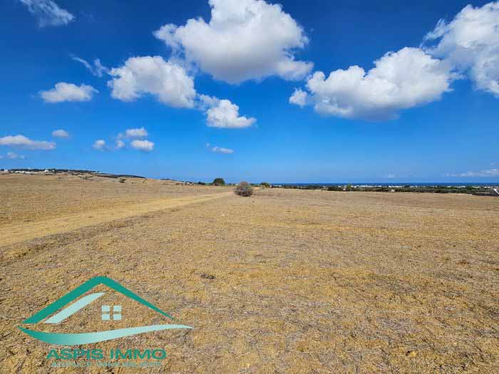 Hammam El Ghezaz&nbsp;Tamazrat&nbsp;Vente&nbsp;Surfaces&nbsp;Vt850 terrain agricole 5980 m2 � tamezrat kelibia