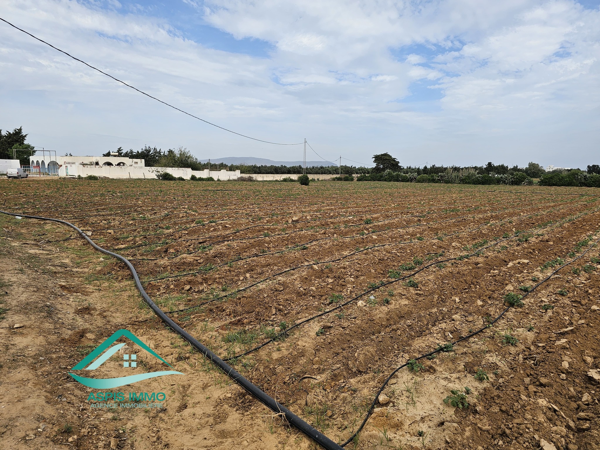 Kelibia Dar Allouche Vente Surfaces Vt942 terrain agricole 32180 m2  dar allouch