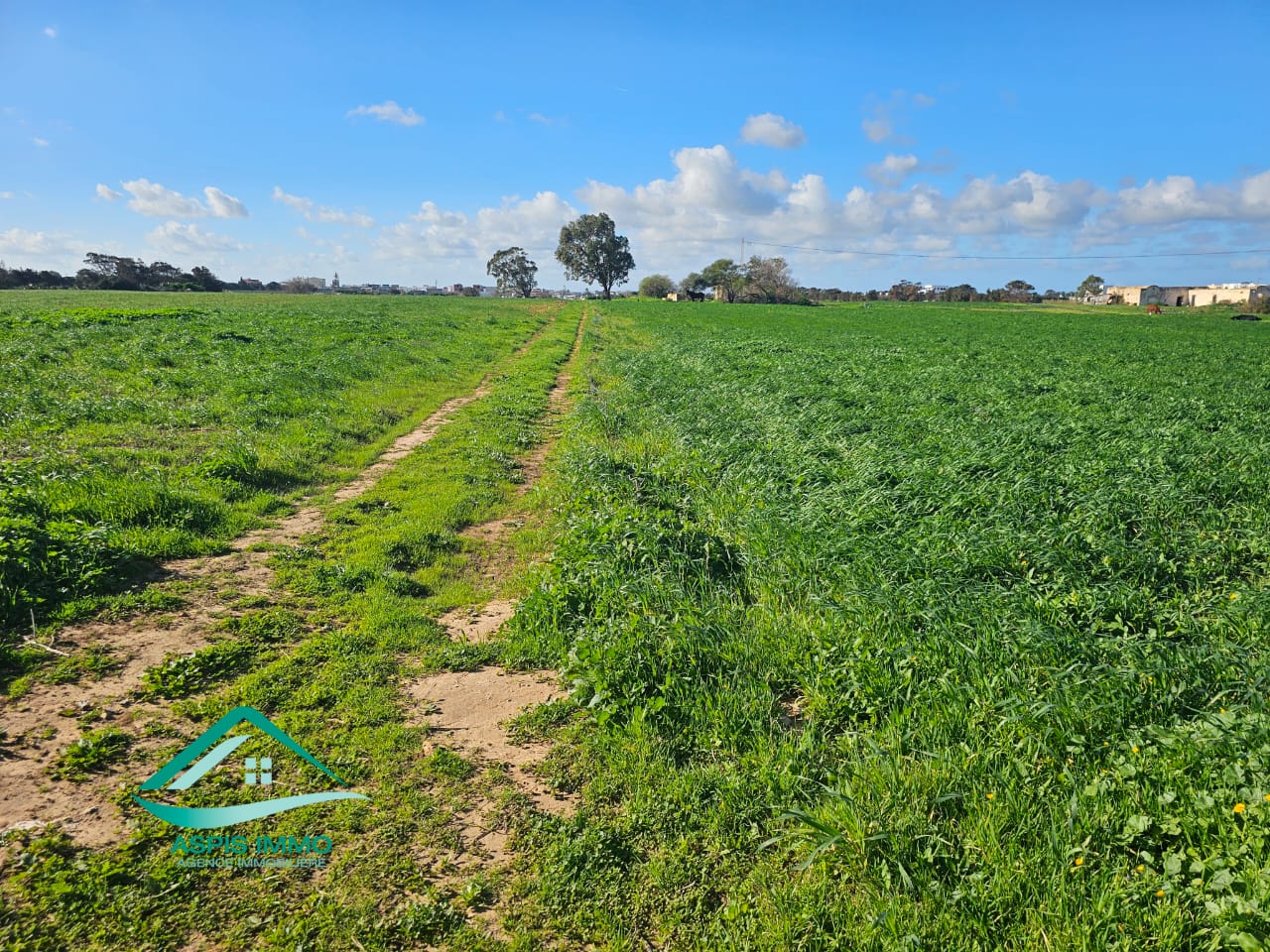 Kelibia Dar Allouche Vente Surfaces Vt961 terrain 800 m2  dar allouch