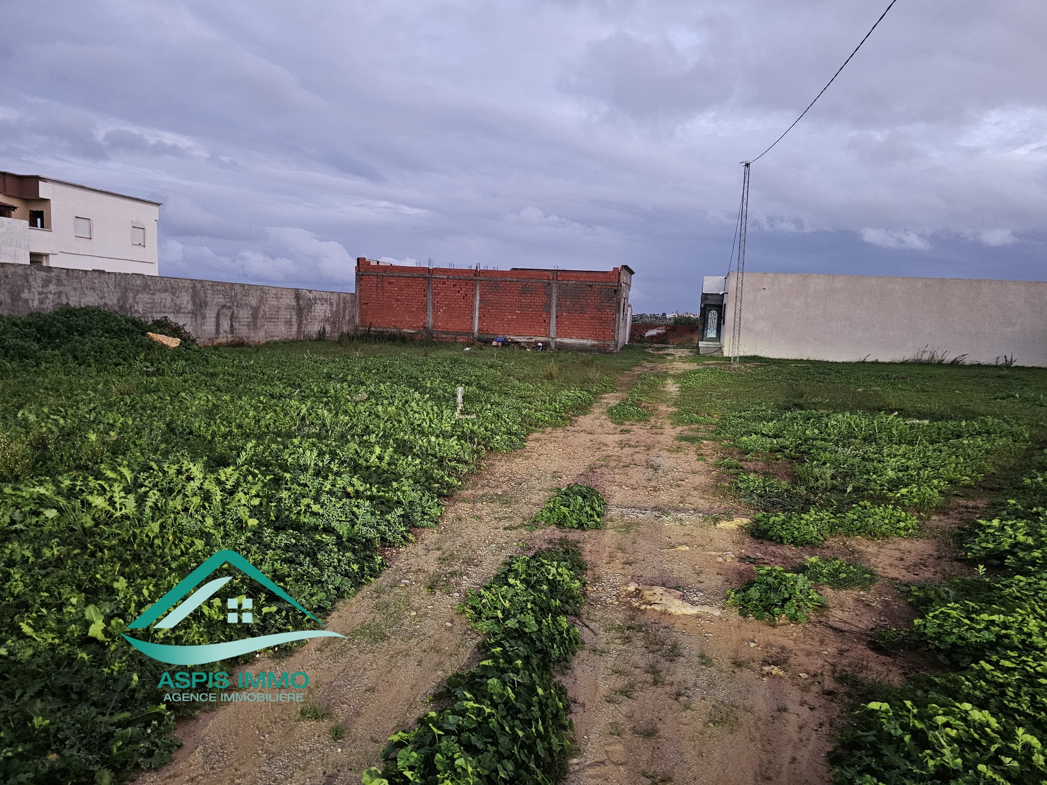 Kelibia Dar Allouche Vente Surfaces Vt968 terrain 200 m2  dar allouch