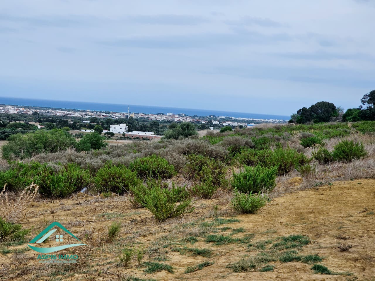 Hammam El Ghezaz&nbsp;Tamazrat&nbsp;Vente&nbsp;Surfaces&nbsp;Vt1002 terrain 1200 m2 � tamezrat kelibia