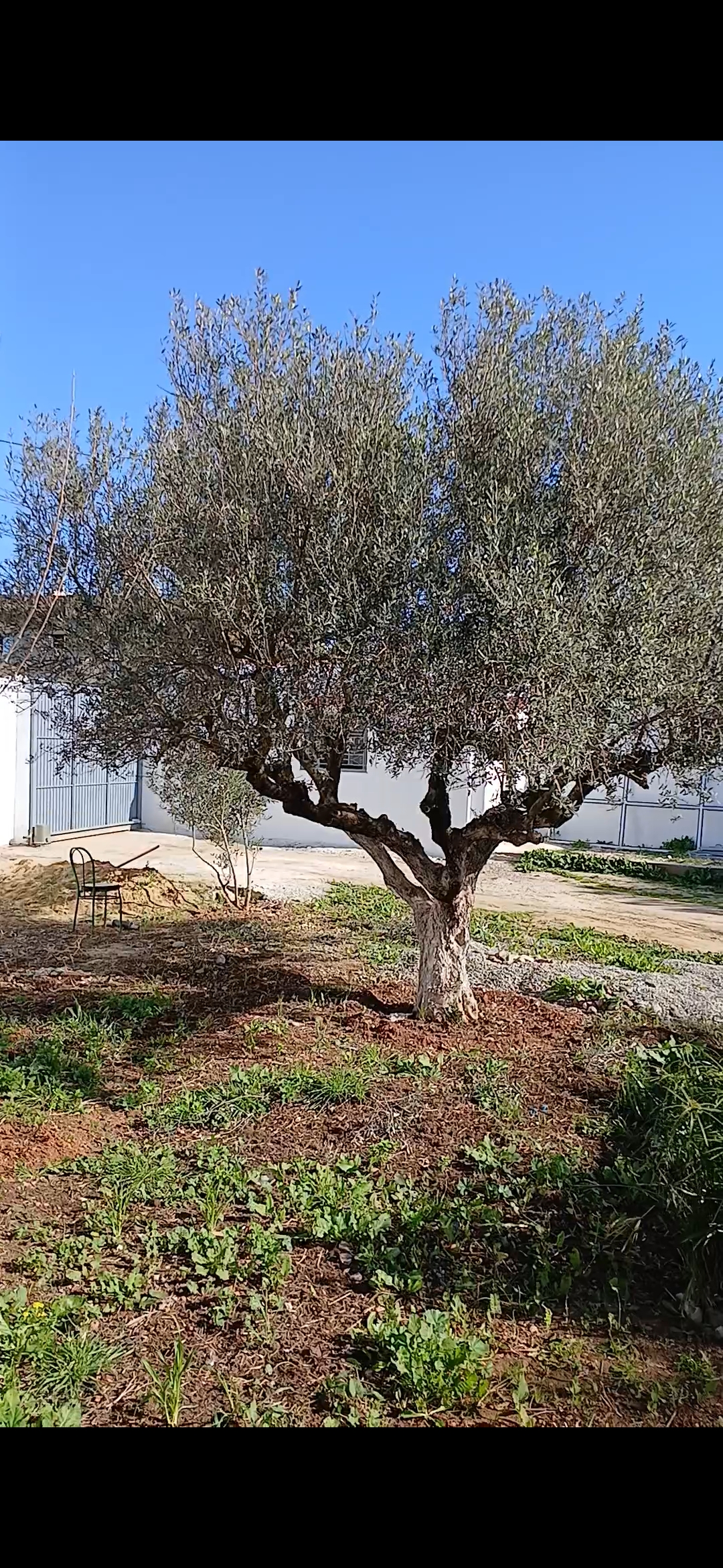 Raoued Borj Touil Vente Maisons Terrain avec maison a borjtouil
