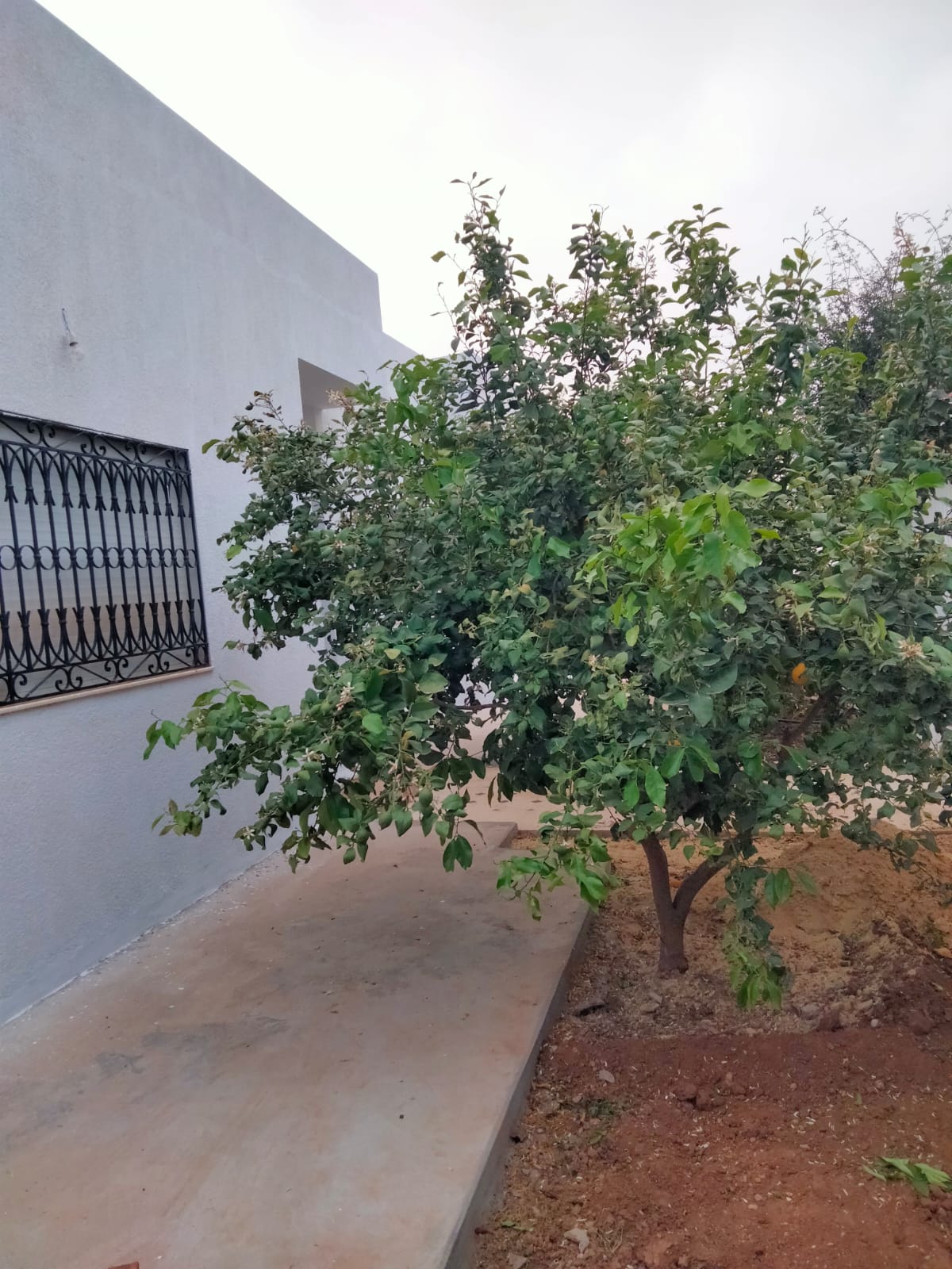 Raoued&nbsp;Borj Touil&nbsp;Vente&nbsp;Autre&nbsp;Superbe villa � borj touil