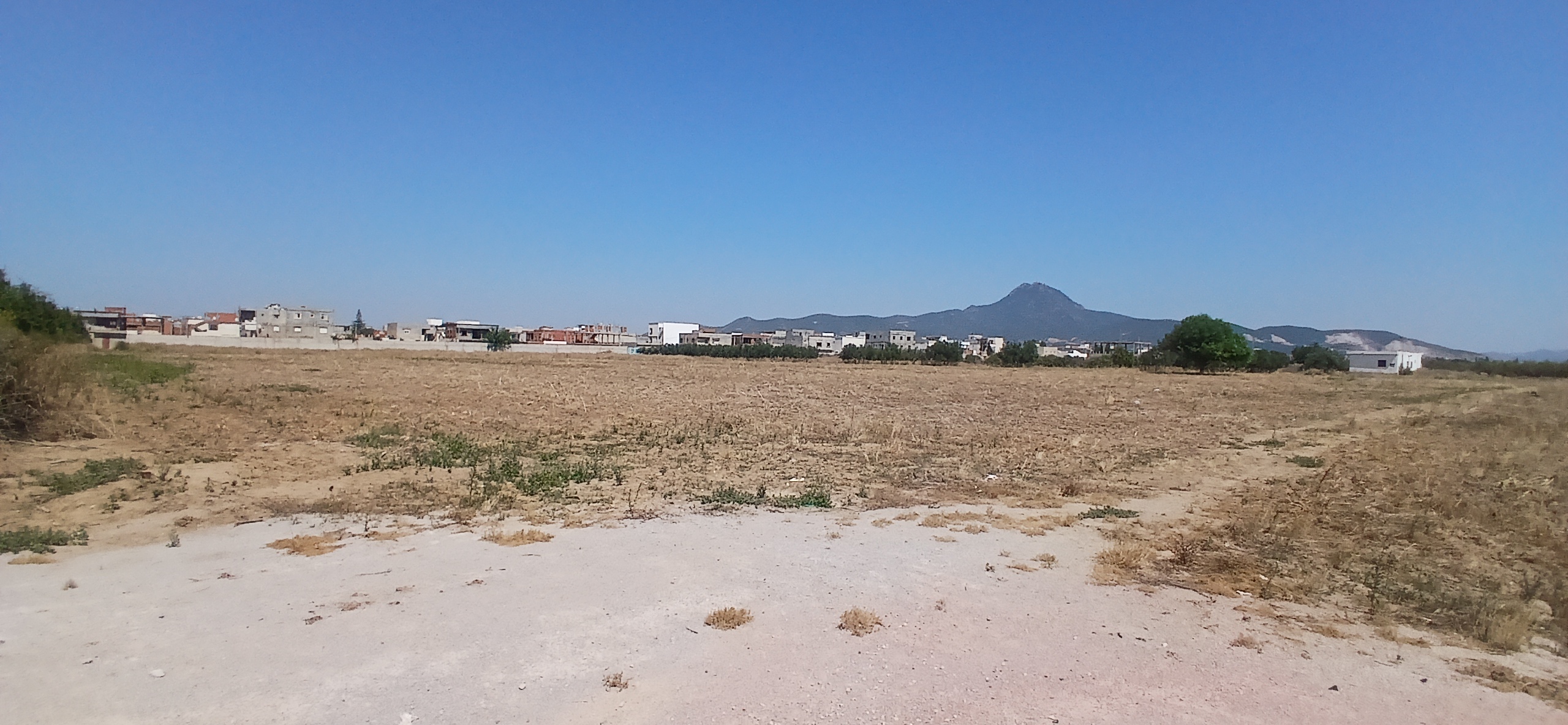 Bou Mhel El Bassatine Cite Ben Gamra Terrain Terrain agricole Terrain  boumhal