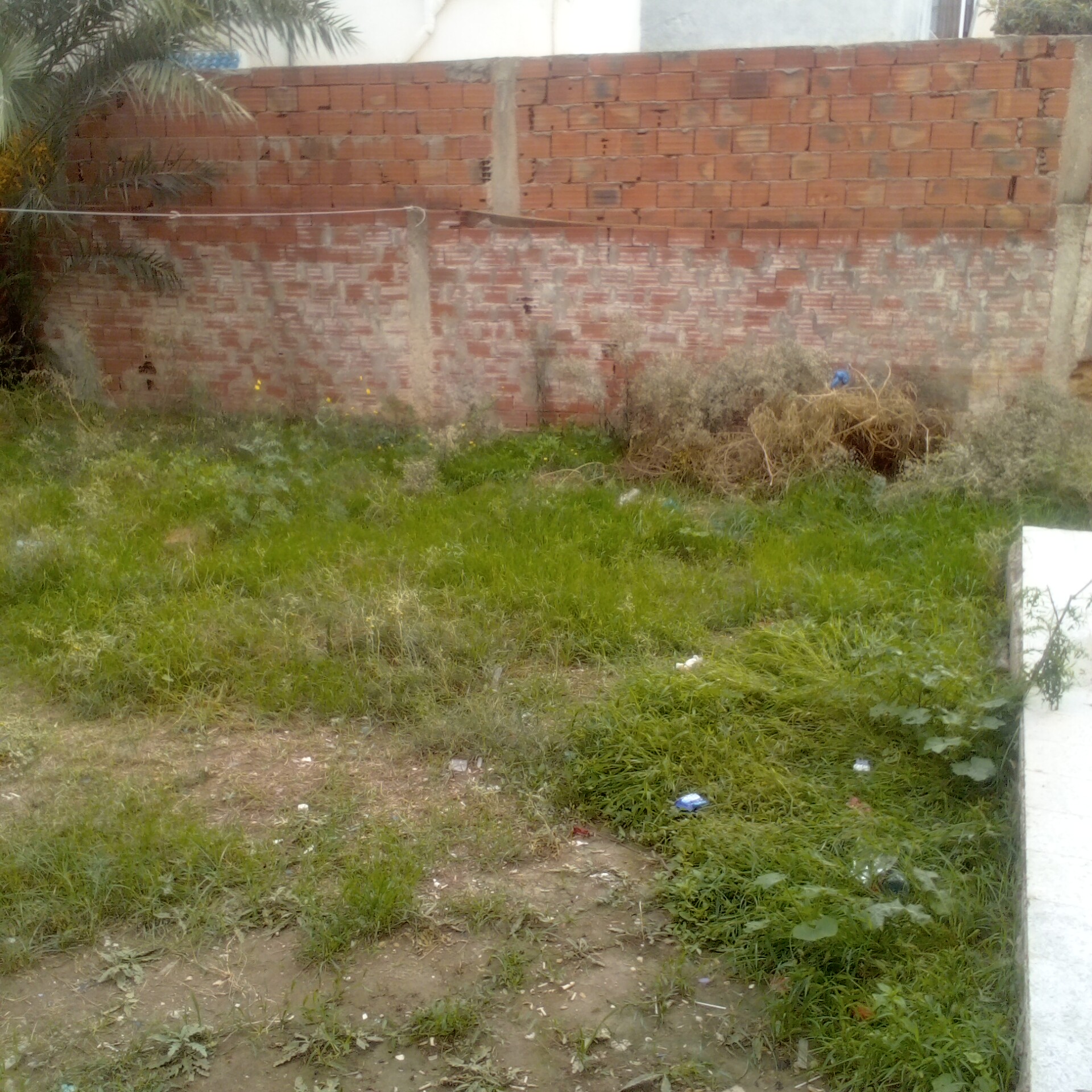 Vente&nbsp;Autre - Tunisie