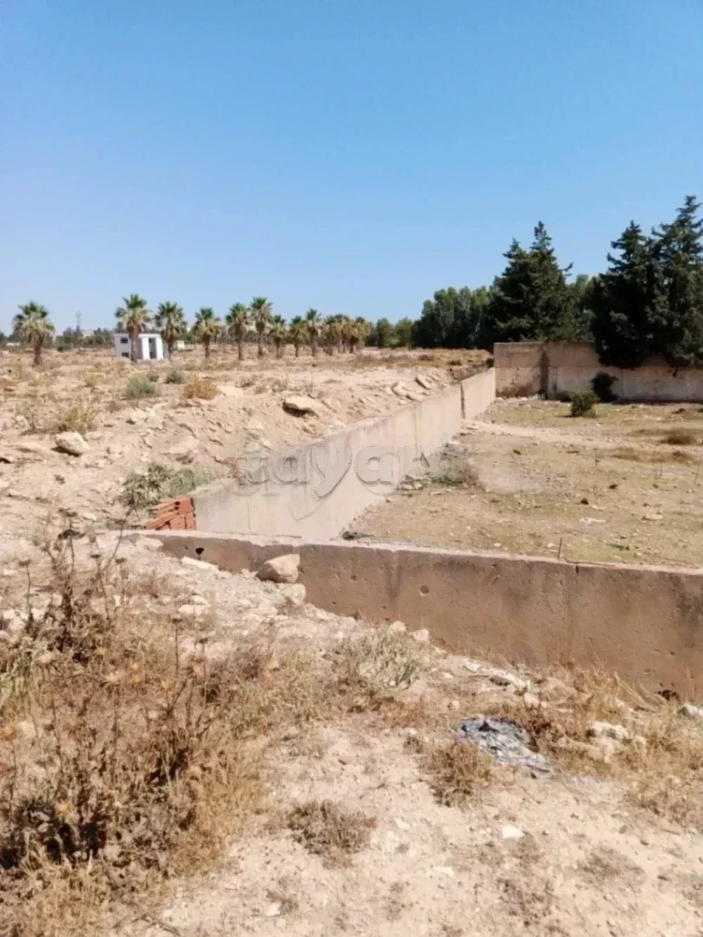 Vente&nbsp;Surfaces - Tunisie