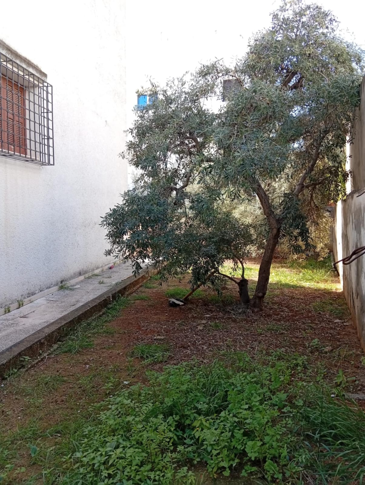 Ariana Ville&nbsp;El Menzah 8&nbsp;Vente&nbsp;Maisons&nbsp;Une villa � retaper ou � d�molir � menzah8