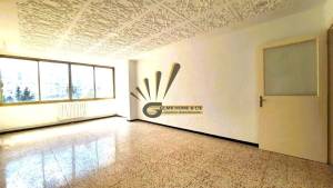 Ariana Ville&nbsp;El Menzah 7&nbsp;Vente&nbsp;Appart. 1 pi�ce&nbsp;S3   el menzeh 7 ref234a