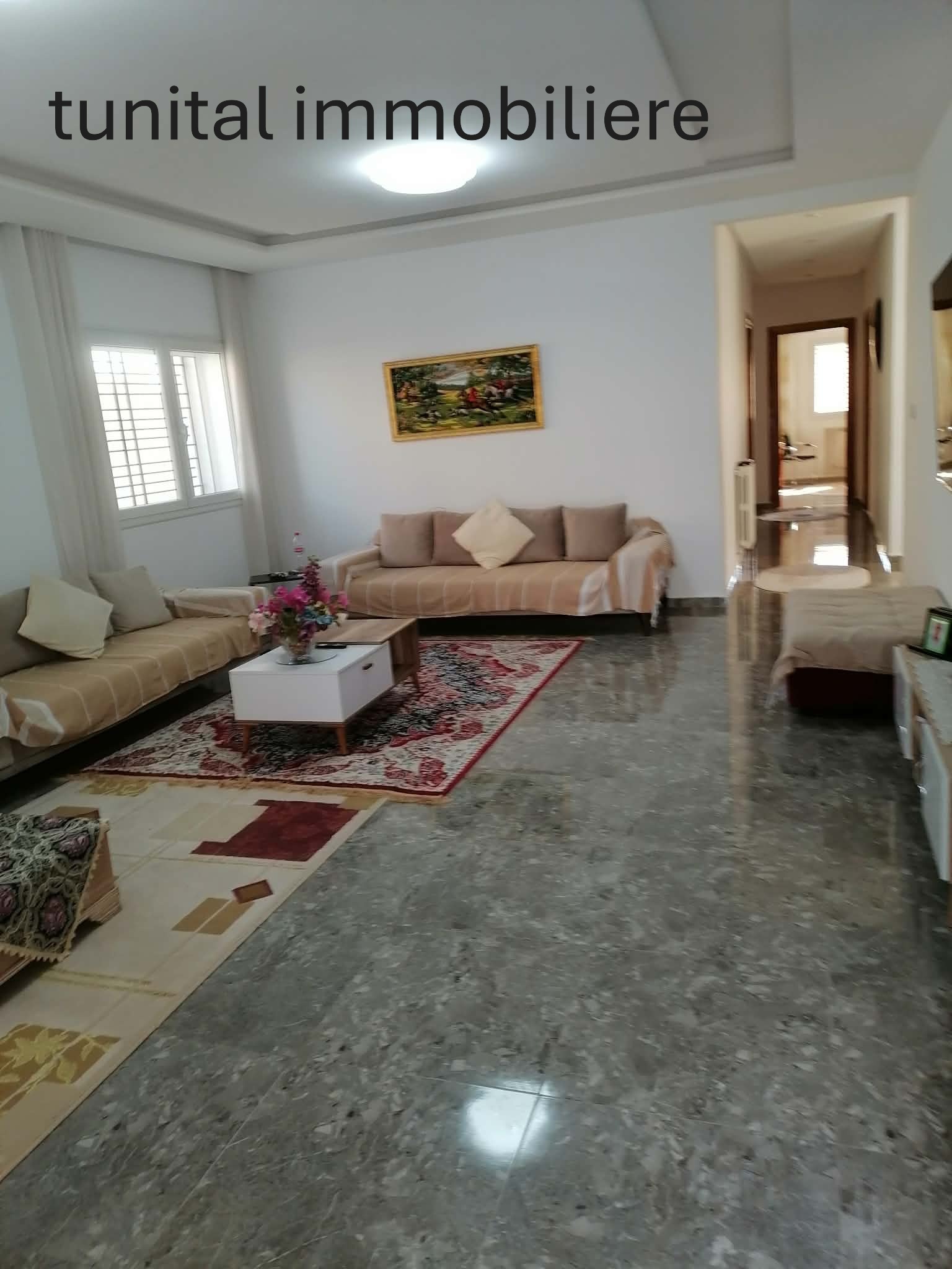 La Marsa&nbsp;Gammart&nbsp;Vente&nbsp;Maisons&nbsp;Villa neuve deux 2tages separees