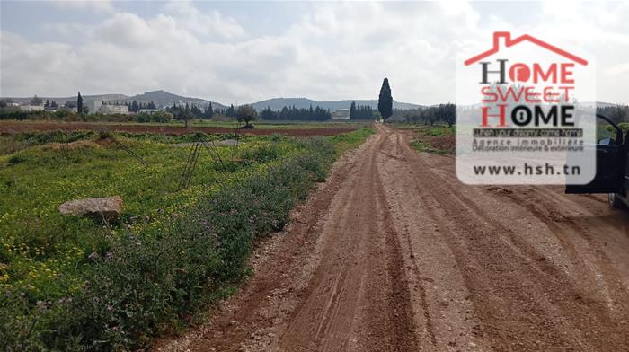 Raoued&nbsp;Borj Touil&nbsp;Vente&nbsp;Surfaces&nbsp;Terrain villa rimel � borj touil