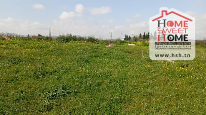 Vente&nbsp;Surfaces - Tunisie