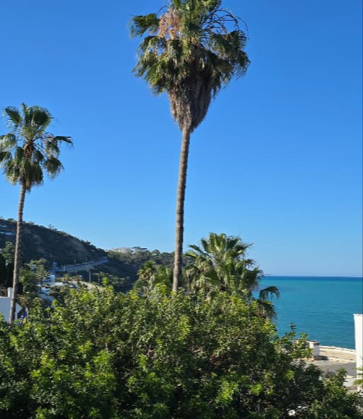 Vente&nbsp;Autre - Tunisie